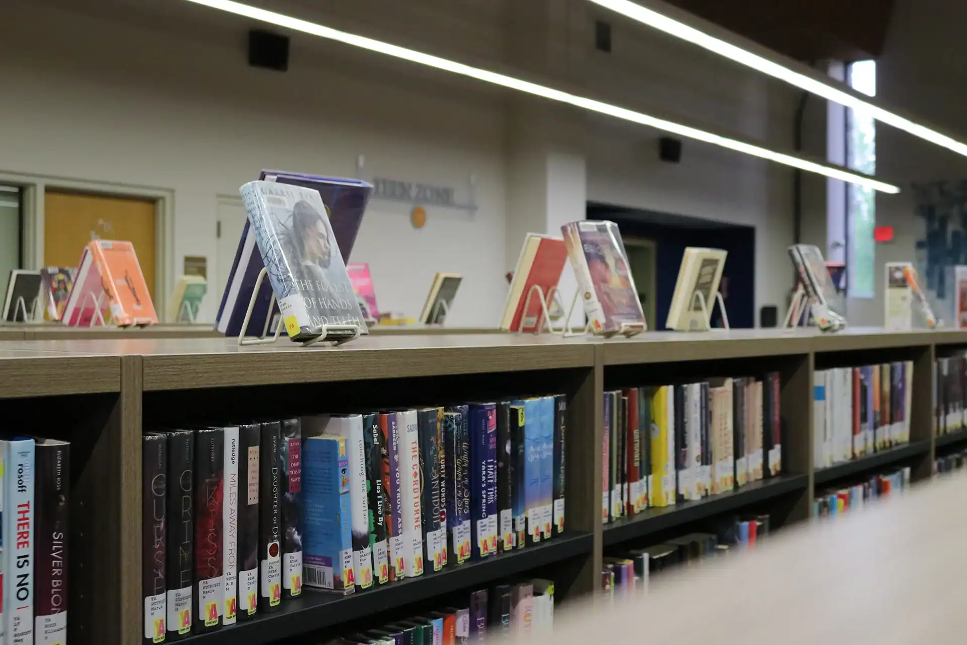 teens-body-image Book shelves in Teen Zone