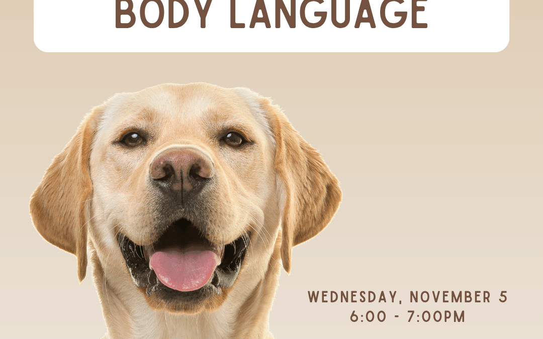 Reading Your Dog’s Body Language