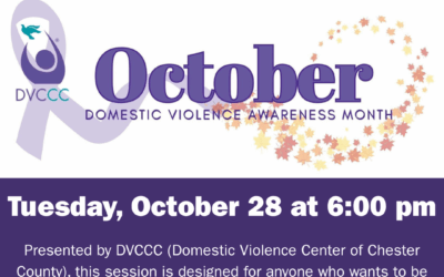 Domestic Violence & DVCCC Services