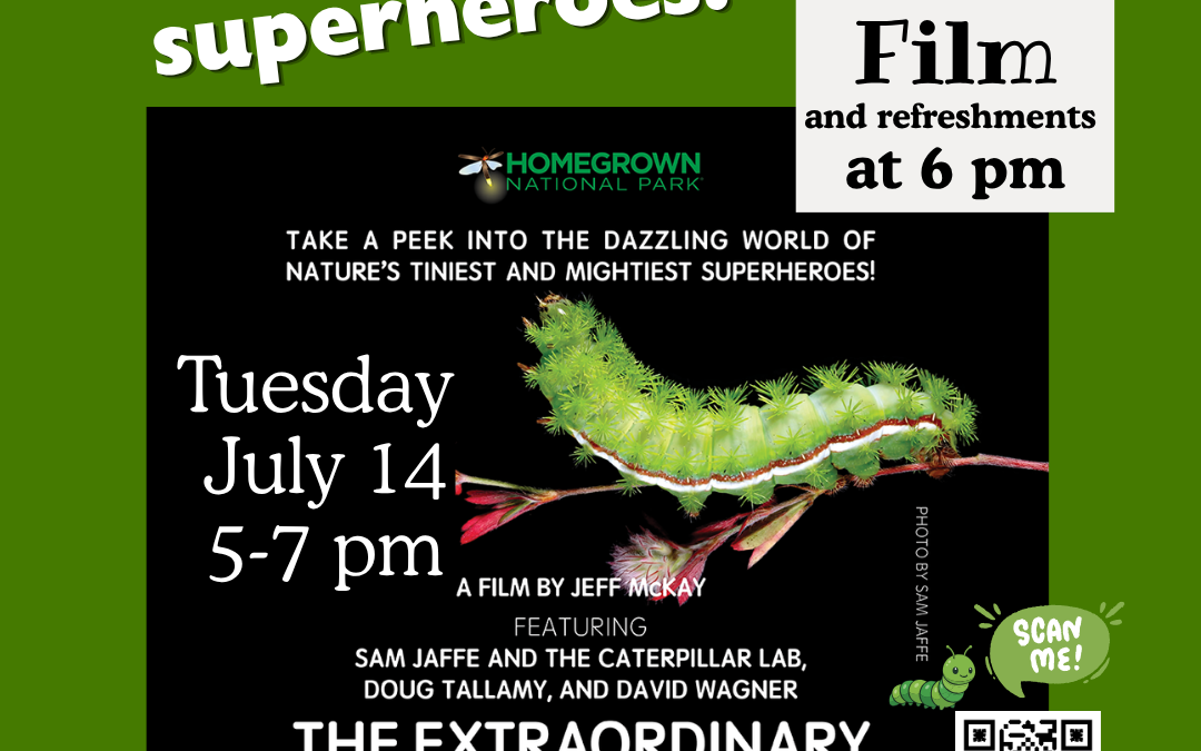 The Extraordinary Caterpillar Documentary – Nature’s Tiniest and Mightiest Superheroes!