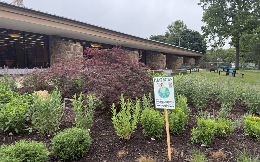 Chester County Library Introduces Biodiverse Native Garden