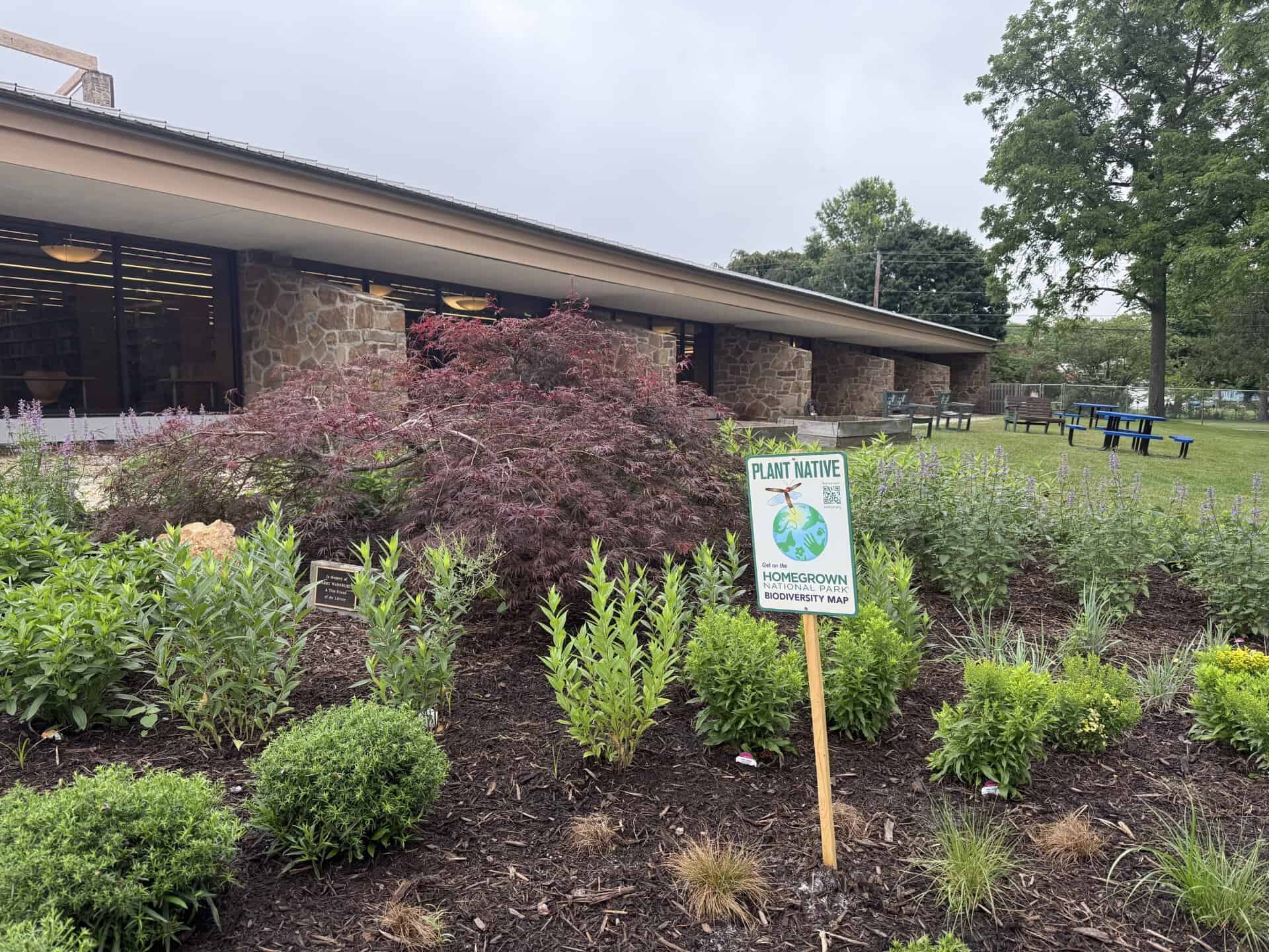 image of native plant garden at the Chester County Library